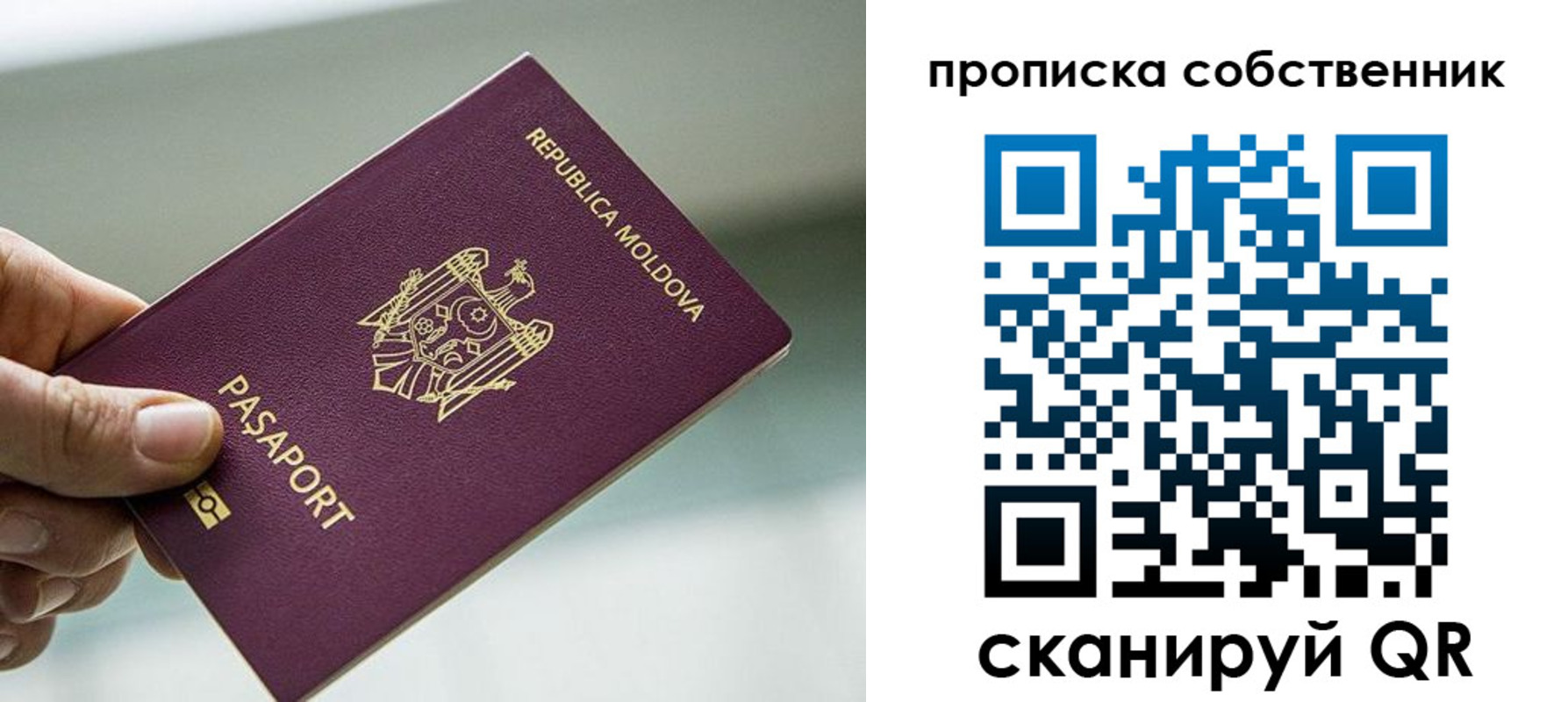 прописка паспорт в Бабаево